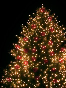 christmas_christmas_tree_lichterkette