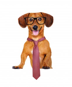 dog with a tie and glasses hodling the blank
