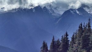 Hurricane Ridge marriage