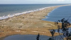 Dungeness Spit marriage