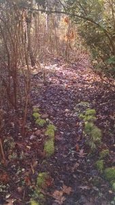 Sabbath day garden path